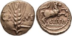 Celtic CELTIC, Britain. Trinovantes & Catuvellauni. Cunobelin, circa 10-43. Stater (Gold, 16 mm, 5.39 g, 12 h), Camulodunon (Colchester). CA - MV Grain ear. Rev. CVNO Horse jumping to right; above, br