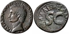 Roman Imperial Augustus, 27 BC-AD 14. As (Copper, 26 mm, 10.18 g, 2 h), with Salvius M. Otho, moneyer, Rome, 7 BC. CAESAR AVGVST•PONT•MAX•TRIBVNIC [POT] Bare head of Augustus to left. Rev. M SALVIVS O