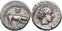 Greek SICILY. Segesta. Circa 412/10-400 BC. Didrachm (Silver, 21 mm, 8.39 g, 7 h). The river-god Krimisos, in the form of a hunting dog, standing right, on the scent; above, diademed small head of the