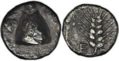 ANCIENT COINS Greece, Boeotia, Orchomenos, Hemiobol - VERY RAREBoeotia Orchomenos, Hemiobol 5th century BC Obverse: half wheat grain, sprouting end up, in the left field ivy leaf Reverse: ear of barle