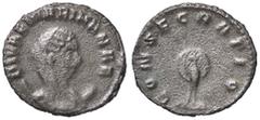 Roman Empire coins ROMANE IMPERIALI - Mariniana (moglie di Valeriano I) - Antoniniano - Busto diademato e velato su crescente a d. /R Pavone stante a coda aperta C. 2; RIC 3 (AG g. 3,06) meglio di MB.