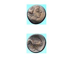 Insubri - Dracma databile al II/I secolo a.C. ad imitazione della Dracma di Massala Fronte: testa di Artemide a destra - Retro: leone con fattezze di uno scorpione a destra - gr. 2,36 - (Bernot/Scheer