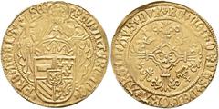 EUROPEAN COINS & MEDALS NETHERLANDS HOLLAND. Philip the Handsome, 1482-1506. Florin d'or au Soleil (Philippusgoudgulden) nd, Dordrecht. Half-length bust of St. Philip facing slightly right, holding cr