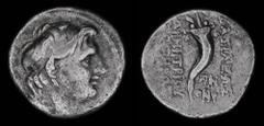 Hellenistic Kingdoms SELEUKID KINGDOM: Demetrios I Soter (162-150 BCE), AR drachm, dated SE 159 (154/3 BCE). Antioch, 3.94g, 17mm. Obv: ΒΑΣΙΛΕΩΣ ΔΗΜΗΤΡΙΟΥ ΣΩΤΗΡΟΣ; Diademed head right Rev: Cornucopia;
