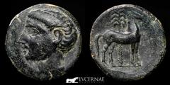 Ancient Hispania Ancient Hispain - Carthaginians in Spain Bronze calco (11.40 g., 24 mm.) minted in Cartagonova between 220 - 205 B.C. Barhead head left / Horse standing to right in reverse, palm tree
