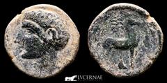 Ancient Hispania Ancient Hispain - Carthaginians in Spain. Bronze calco (10.80 g., 24 mm.) minted in Cartagonova between 220 - 205 B.C. Anibal head? Barehead head left. Horse standing to right in reve