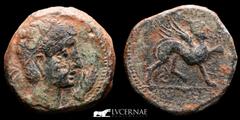 Ancient Hispania Ancient Hispania - Castulo (Linares, Jaén), bronze as (12,66 g. 25 mm) minted around 180 - 150 B.C. CASTELE. Sphinx. Diademed male bust right. Hand. Sphinx right - star. Iberian legen