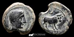 Ancient Hispania Ancient Hispania - Castulo (Linares, Jaén). Bronze semis (6,65 g, 22 mm). Minted in I B.C. Male head diadem to right, in front Palm. Bull to right, in the exergue inscription Iberian 