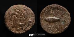 Ancient Hispania Ancient Hispania - Gades (actual Cádiz) Bronze Semis, (5.95 g. 21 mm.) minted between 200 - 100 B.C. Head of Herakles-Hércules to left / Tuna to left. FAB 1345. Very fine condition.