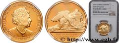 World coins SAINT HELENA Type : 2 Crown Mort de Napoléon  Date : 2019  Quantity minted : 4999  Metal : gilt copper  Diameter : 26  mm Orientation dies : 12  h. Weight : 8  g. Edge : cannelée  Obverse 