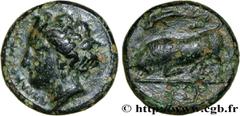 Greek Coins SICILY - SYRACUSE Type : Litra  Date : c. 317-310 AC.  Mint name / Town : Syracuse, Sicile  Metal : bronze  Diameter : 15  mm Orientation dies : 3  h. Weight : 4,03  g. Obverse description