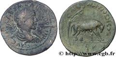 Provincial Coins GORDIAN III Type : Sesterce  Date : c. 238-239  Mint name / Town : Antioche, Pisidie  Metal : copper  Diameter : 34,5  mm Orientation dies : 7  h. Weight : 26,62  g. Rarity : R1  Obve