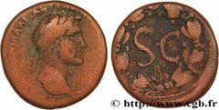 Provincial Coins ANTONINUS PIUS Type : As  Date : c. 145-161  Mint name / Town : Antioche, Syrie, Séleucie et Piérie  Metal : copper  Diameter : 26  mm Orientation dies : 1  h. Weight : 14,44  g. Rari