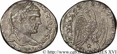CARACALLA(27/05/196-8/04/217)Marcus Aurelius AntoninusAuguste(4/02/211-8/04/217) Tétradrachme syro-phénicien N° v16_0569    Date : 215-217 Nom de l'atelier : Syrie, Séleucie et Piérie, Laodicée Métal 