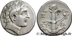 KYRENAICA - KYRENE Statère ou didrachme c. 290 AC. Cyrène, Cyrénaïque R2 silver (21mm, 7,65g, 12h) Obverse : Tête cornue imberbe de Karneios à droite Reverse : Plant de silphium vu de face ; crabe ava