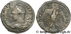 CARACALLA (27/05/196-8/04/217) Marcus Aurelius Antoninus Auguste (4/02/211-8/04/217) Tétradrachme syro-phénicien 214-215 N° brm_153684 Date : 214-215 Nom de l'atelier : Antioche Métal : billon Diamètr