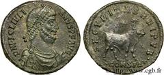 JULIEN II LE PHILOSOPHE(6/11/355-26/06/363)Flavius Claudius JulianusAuguste(02/360-26/06/363) Double maiorina, (GB, ئ 1) N° v24_0772    Date : 362-363 Nom de l'atelier : Constantinople Métal : cuivre 