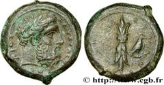 Greek Coins SICILY - SYRACUSE Type : Hémidrachme  Date : c. 343 - 339/338 AC.  Mint name / Town : Syracuse, Sicile  Metal : copper  Diameter : 23  mm Orientation dies : 5  h. Weight : 13,67  g. Obvers