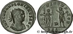 FLORIEN(06-08/276)Marcus Annius Florianus Aurelianus N° v31_0499    Date : 276 Nom de l'atelier : Thrace, Serdica Métal : billon Diamètre : 22,5mm Axe des coins : 6h. Poids : 3,51g. Degré de rareté : 