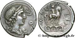 Roman coins AEMILIA Type : Denier Date : c. 114-113 AC. Mint name / Town : Rome Metal : silver Millesimal fineness : 950 ‰ Diameter : 19,5 mm Orientation dies : 5 h. Weight : 3,99 g. Obverse legend : 