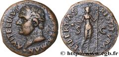 Roman coins VITELLIUS Type : As  Date : mai - juillet  Date : 69  Mint name / Town : Tarragone  Metal : copper  Diameter : 27  mm Orientation dies : 6  h. Weight : 8,71  g. Rarity : R3  Officine : 2e 