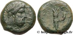 Greek Coins SICILY - SYRACUSE Type : Hémidrachme  Date : c. 343 - 339/338 AC.  Mint name / Town : Syracuse, Sicile  Metal : copper  Diameter : 24,5  mm Orientation dies : 11  h. Weight : 17,39  g. Obv