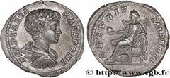 Roman coins GETA Type : Denier  Date : 202  Mint name / Town : Rome  Metal : silver  Millesimal fineness : 550  ‰ Diameter : 18  mm Orientation dies : 6  h. Weight : 3,21  g. Officine : 5e  Obverse le