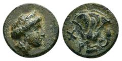 Greek Coins ISLANDS of CARIA.Rhodos.Rhodes.(Circa 350-300).Ae. Obv : Head of Rhodos right, in stephane, hair rolled. Rev : Ρ Ο. Rose with one bud to right, in left field, Χ. SNG Ashmolean XI, 558; BMC