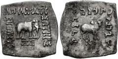 Oriental Greek BAKTRIA, Greco-Baktrian Kingdom. Apollodotos I Soter. Circa 180-160 BC. AR Drachm (17.5x18.5mm, 2.31 g, 12h). Square module. Elephant standing right; ΞE below / Zebu standing right; NO 