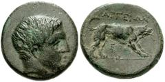 803299. Sold For $465 AKARNANIA, Argos Amphilochikon. Circa 330-300 BC. Æ 17mm (5.09 g, 2h). Youthful head of Hermes right / Wolf at bay right; E below. BCD Akarnania 147 (this coin); SNG Copenhagen -