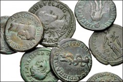 ROMAN. Provincial. Lot of eight (8) bronze coins from Moesia Superior to Thrace. Includes: MOESIA SUPERIOR. Viminacium. Gordian III // MOESIA INFERIOR. Marcianopolis. Macrinus // Severus Alexander // 