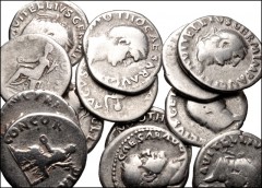 ROMAN. Imperial. Lot of thirteen (13) AR Denarii from Galba to Vitellius. Includes: Galba (2) // Otho (2) // Vitellius (9). Average Fine. LOT SOLD AS IS, NO RETURNS. Thirteen (13) coins in lot.