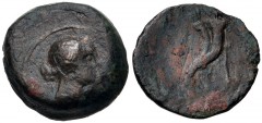PTOLEMAIC KINGS of EGYPT. temp Ptolemy VIII Euergetes II (Physcon). 145-116 BC. Æ Chalkous (12mm, 1.82 g, 12h). Paphos mint. Diademed bust of Arsinoe III(?) right / Double cornucopia tied with fillets