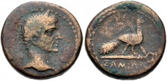 ISLANDS off IONIA, Samos. Augustus(?). 27 BC-AD 14. Æ (18mm, 6.49 g, 12h). Laureate head right / Peacock standing right on caduceus; scepter in background. RPC I 2681; BMC 224-5; SNG Copenhagen 1728. 