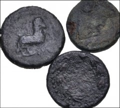 GREEK. Magna Graecia & Sicily. Lot of three (3) bronzes from Panormos. Includes: Small module bronzes (16-19mm): CNS 1 // CNS 2 // CNS 7. Fair to Fine, with dark green patinas, roughness. LOT SOLD AS 