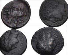 GREEK. Magna Graecia & Sicily. Lot of four (4) bronze of Syracuse. Includes: (a) Timoleon and the Third Democracy. Æ 18mm. Head of Apollo / Pegasos. HGC 2, 1486 (Agathokles); Virzi 1599 (this coin) //
