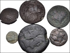 ROMAN. Republic. Lot of twenty (20) bronzes from the RBW collection. Includes: Æ Semuncia. Crawford 38/7 // Æ As. Crawford 56/2 // Æ Semis. Crawford 56/3 (2 coins) // Æ Triens. Crawford 56/4 // Æ Quad