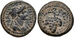 LYDIA, Philadelphia. Domitia. Augusta, AD 82-96. Æ (16mm, 3.04 g, 6h). Lagetas, magistrate. Draped bust right / Grape bunch. RPC II 1336. VF, thick earthen green patina. From the estate of Thomas Bent