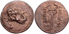 Oriental Greek BAKTRIA, Greco-Baktrian Kingdom. Demetrios I Aniketos. Circa 200-185 BC. Æ Trichalkon (29mm, 10.59 g, 12h). Head of elephant right, bell around neck / Kerykeion (caduceus); (HΔ) monogra