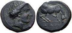 Greek THESSALY, Larissa. Mid-late 4th century BC. Æ Dichalkon (16.5mm, 3.48 g, 12h). Head of the nymph Larissa right / ΛΑΡΙ/[ΣΑΙΩΝ], horse standing right, preparing to lie down. Rogers 295 var. (orien