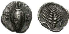 BOIOTIA, Orchomenos. Late 5th century-364 BC. AR Tetartemorion (0.16 g, 1h). Wheat grain, sprouting end upward; E-R flanking / Wheat ear upward, long stem curving to the to left; E to lower right. Hea