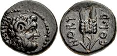 Roman Provincial MACEDON, Cassandrea(?). Quintus Hortensius Hortalus. Proconsul, 44-42 BC. Æ (17mm, 4.13 g, 12h). HAMM[O], horned head of Zeus-Ammon right / HORT COL • D, two grain ears. S. Kremydi-Si