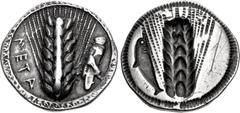 Greek LUCANIA, Metapontion. Circa 540-510 BC. AR Nomos (27mm, 7.85 g, 12h). Ear of barley with seven grains; META down left field, grasshopper upward to right / Incuse ear of barley with seven grains;