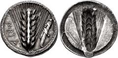 Greek LUCANIA, Metapontion. Circa 540-510 BC. AR Nomos (28.5mm, 6.89 g, 12h). Ear of barley with seven grains; META down left field, grasshopper upward to right / Incuse ear of barley with seven grain