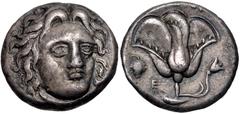 Greek ISLANDS off CARIA, Rhodos. Rhodes. Circa 340-316 BC. AR Didrachm (18.5mm, 6.66 g, 12h). Head of Helios facing slightly right / Rose with bud to right; grape bunch and E to left; [all within incu