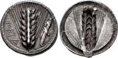 Greek LUCANIA, Metapontion. Circa 540-510 BC. AR Nomos (28.5mm, 6.89 g, 12h). Ear of barley with seven grains; META down left field, grasshopper upward to right / Incuse ear of barley with seven grain