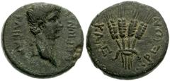 LYDIA, Tralles. Nero. AD 54-68. Æ 17mm (4.52 g). Struck circa AD 60. Bare head right / Bundle of four grain ears. RPC I 2657; SNG von Aulock -; SNG Copenhagen 692. VF, dark green, almost black, patina