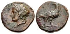 Greek SICILY, Akragas. Phintias. Tyrant, 287-279 BC. Æ (15.5mm, 2.21 g, 7h). Laureate head of Zeus Hellanios left / Eagle standing right, head left; ΦI above. BAR Issue 6; CNS 119; HGC 2, 168; Virzi 6