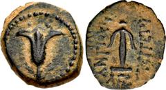 Greek JUDAEA, Hasmoneans. John Hyrkanos I (Yehohanan). 135-104 BCE. Æ Prutah (14.5mm, 2.71 g, 1h). In the name of Seleukid king Antiochos VII Euergetes (Sidetes). Jerusalem mint. Dated SE 182 (132/1 B