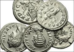 ROMAN. Imperial. AR from Septimius Severus to Julia Maesa. Includes: all denarii. Septimius Severus. Liberalitas // Julia Domna. Pudicitia // Caracalla. Liberalitas // Caracalla. Roma // Julia Maesa. 